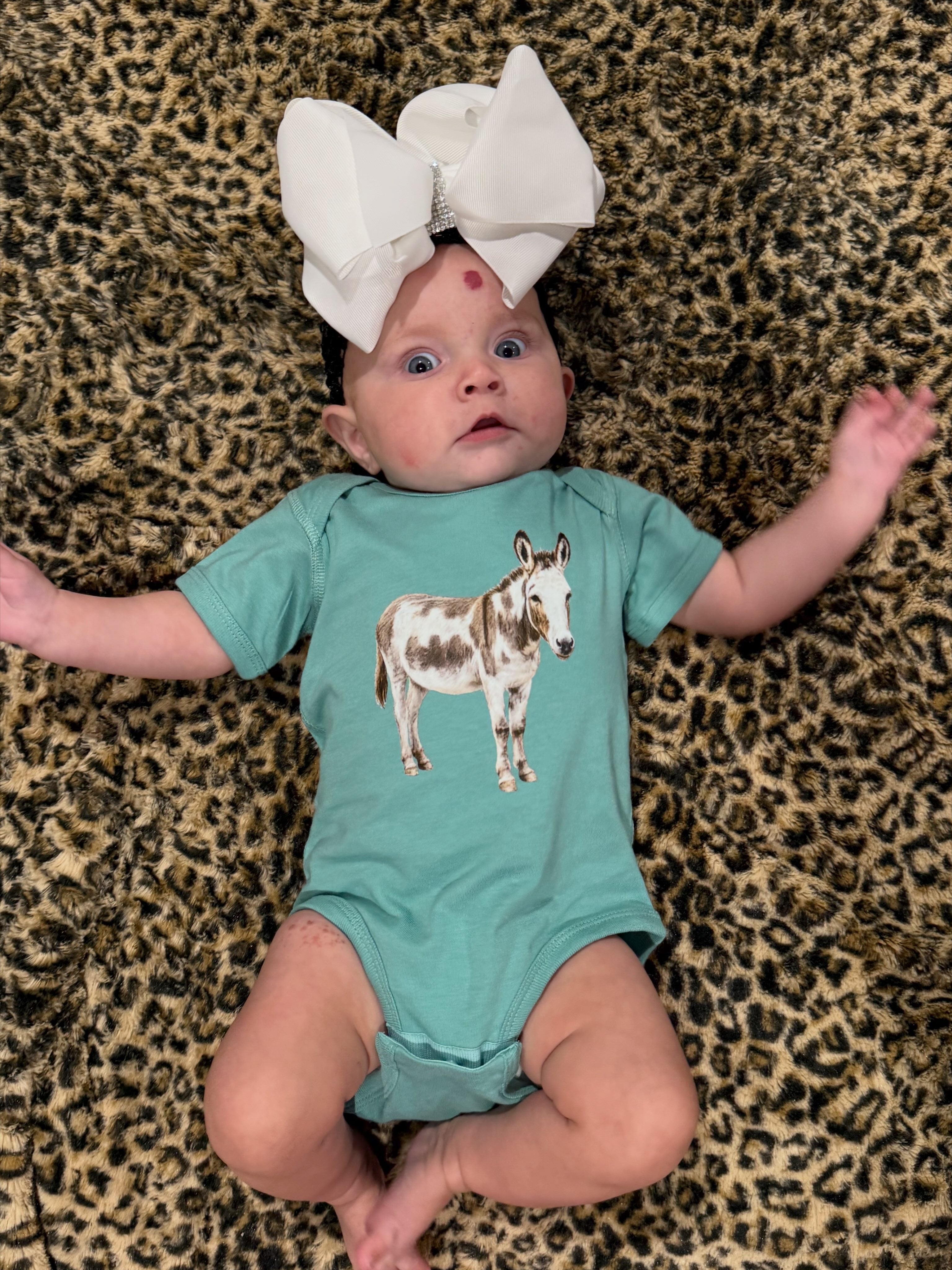 Waylon the Donkey Baby Bodysuit on Saltwater