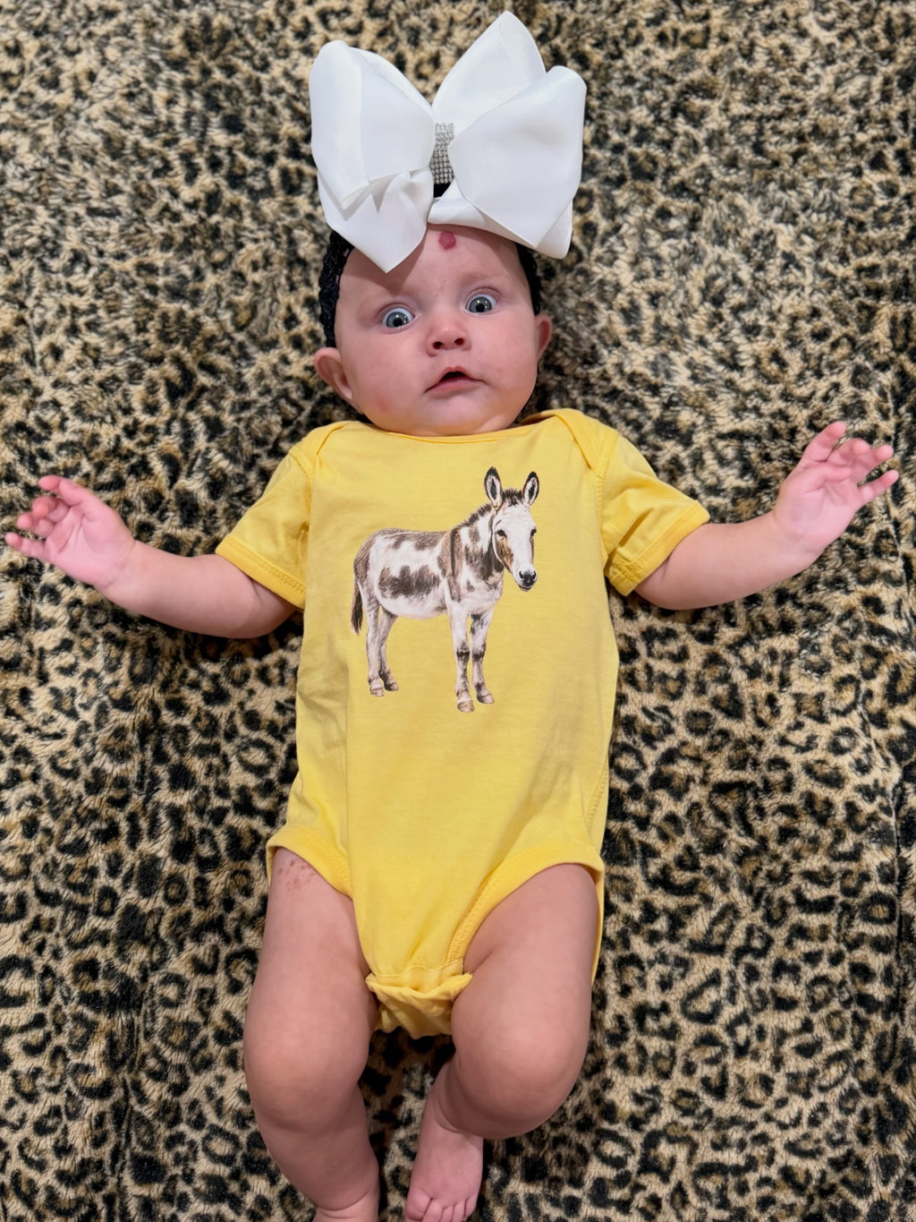 Waylon the Donkey Baby Bodysuit on Butter