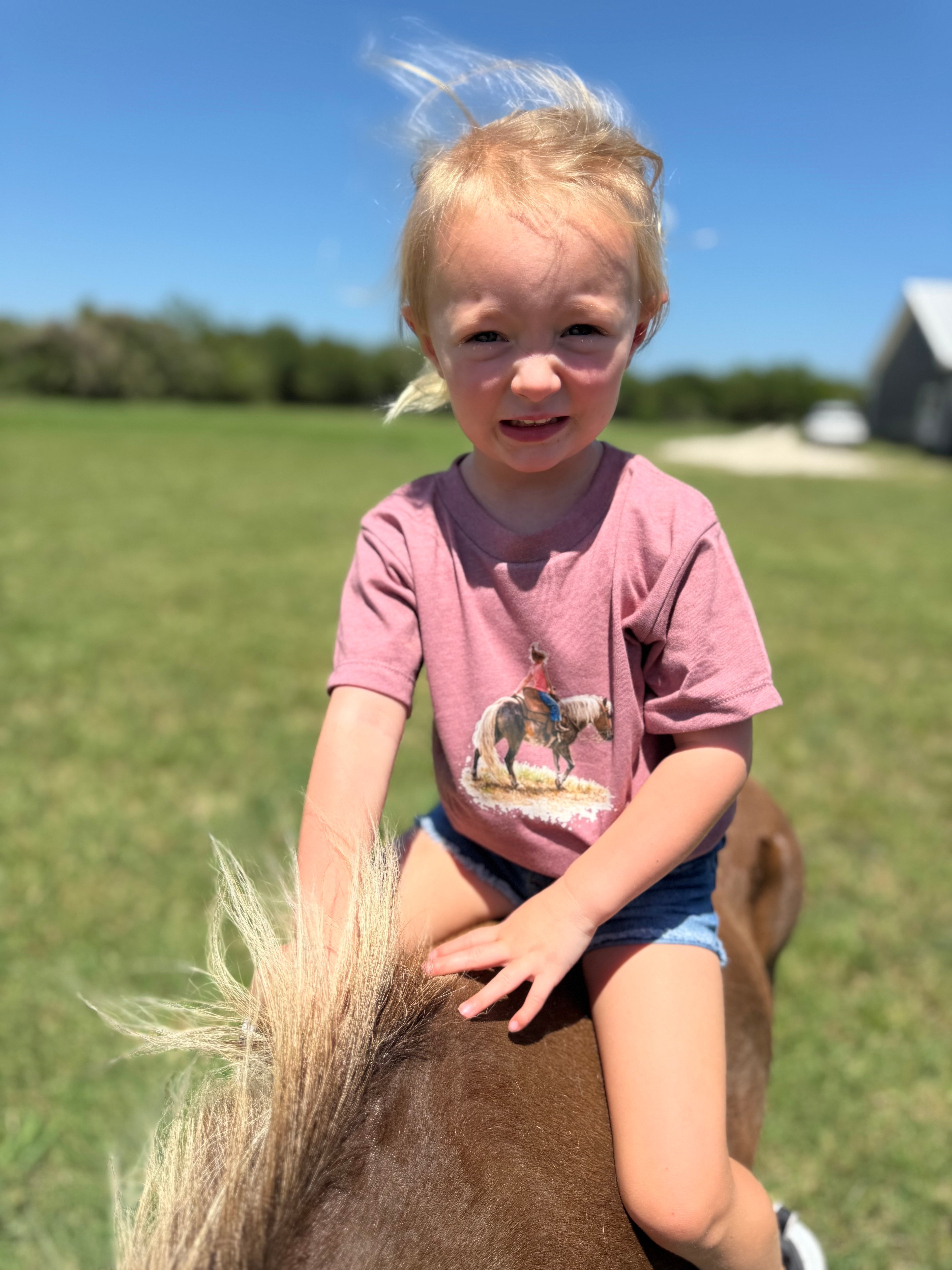 Little Cowgirl Toddler Tee